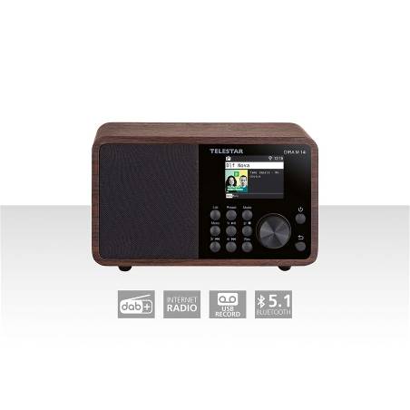 Telestar 20-100-01 DIRA M 14i multifunctionele radio hout