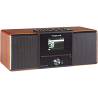 Telestar 30-320-01 DIRA S32i CD EWF Multifunctionele Stereo Radio met CD-speler DAB+ / FM / Internet / Bluetooth Hout